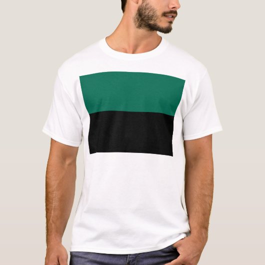 テクセル国旗 Tシャツ (正面)