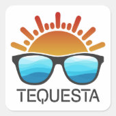 テケスタフロリダサングラス スクエアシール (正面)