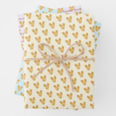 テケニト紙 ラッピングペーパーシート (インサイチュ)