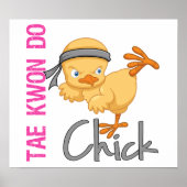 テコンドシック ポスター (正面)