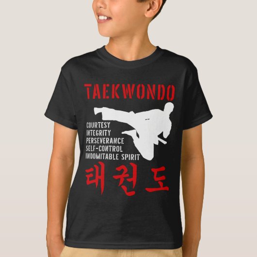 テコンドテネッツ武術アーツ Tシャツ (正面)