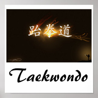 テコンドプリント ポスター