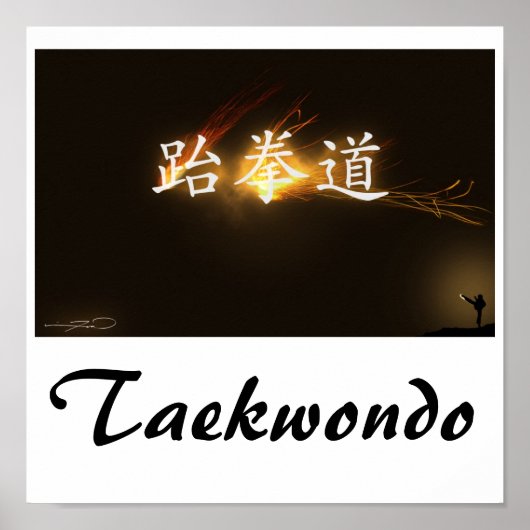 テコンドプリント ポスター (正面)