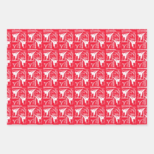 テコンドーかわいい赤い緑のシルバーホワイトガーリー ラッピングペーパーシート (正面)