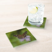 テサン三日月蝶 ガラスコースター (アングル)