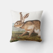 テシアンハレ(レプステキアーナス)ウサギイラストレーション クッション (裏面)