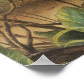 テシアンハレ（レプステキアーナス）ウサギイラストレーション ポスター (角)