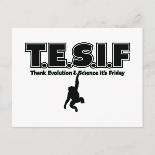 テシフ ポストカード (正面)