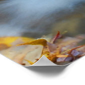 テスコワタ秋 ポスター (角)