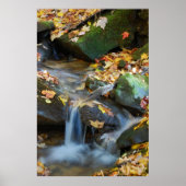 テスコワタ秋 ポスター (正面)