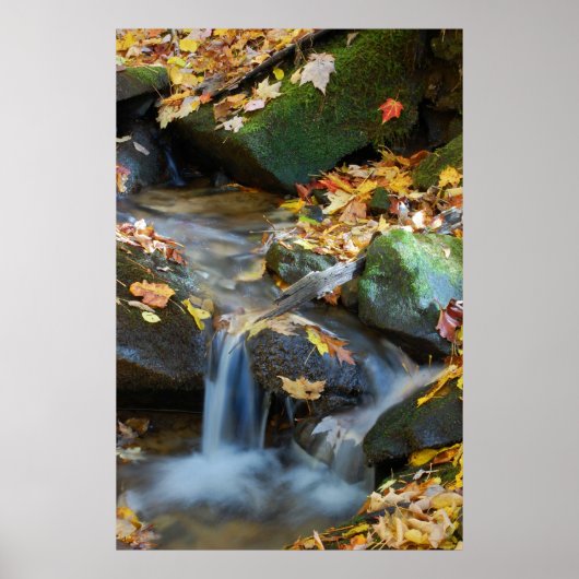 テスコワタ秋 ポスター (正面)