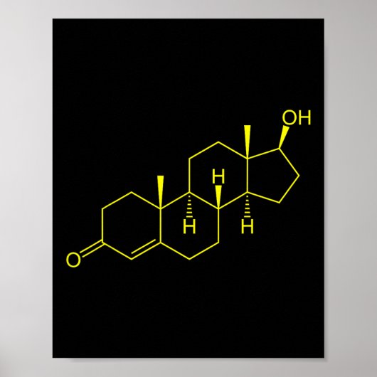 テストステロン分子生物学ボディビル ポスター (正面)