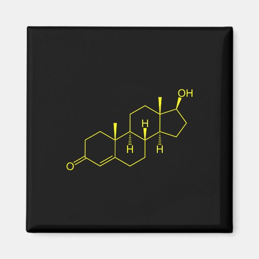 テストステロン分子生物学ボディビル マグネット (正面)