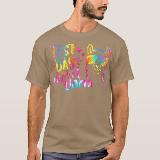 テスト日先生Tテスト日No Prob Llama絞り染め Tシャツ