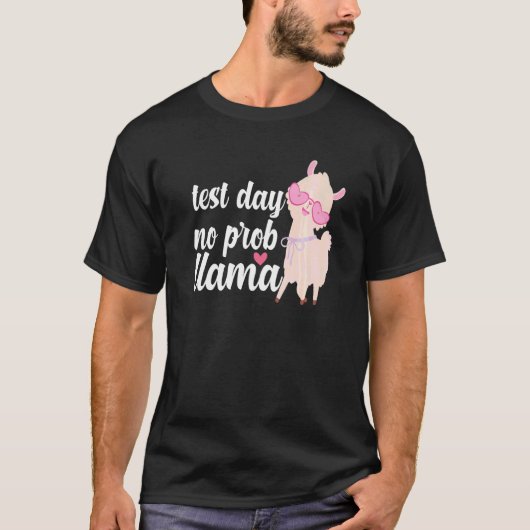 テスト日No Prob Llama女性先生州テスト Tシャツ (正面)
