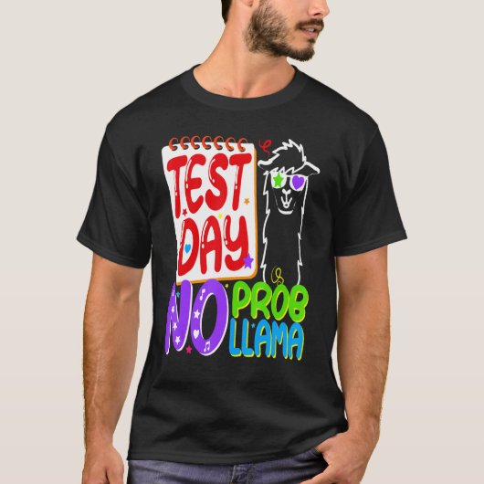テスト日No Probllamaテスト日先生Rainbo Tシャツ (正面)