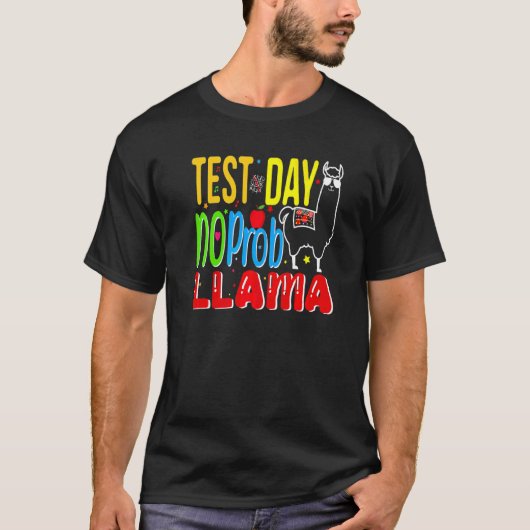 テスト日No Probllamaテスト日先生Rainbo Tシャツ (正面)