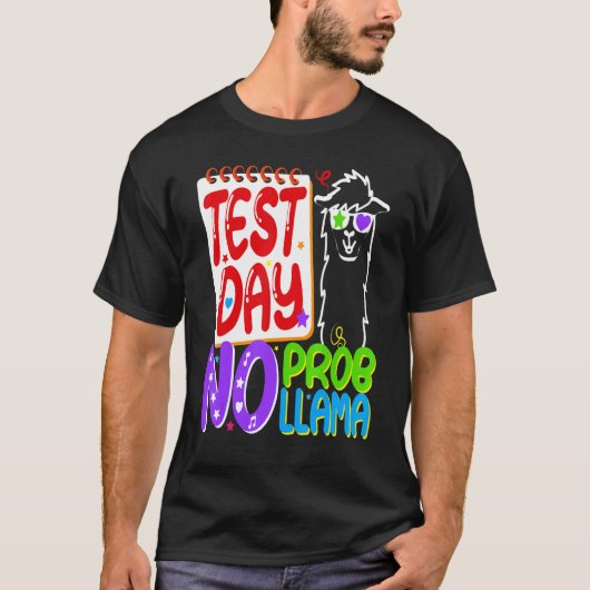 テスト日No Probllamaテスト日先生Rainbo Tシャツ (正面)