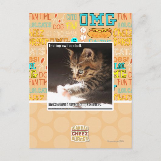 テスト用のオウトサンバフ ポストカード (正面)