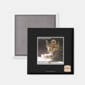 テスト用のオウトサンバフ マグネット (正面/裏面)