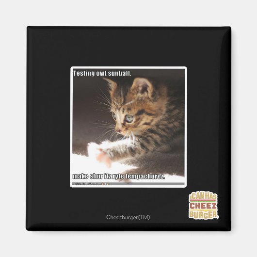 テスト用のオウトサンバフ マグネット (正面)