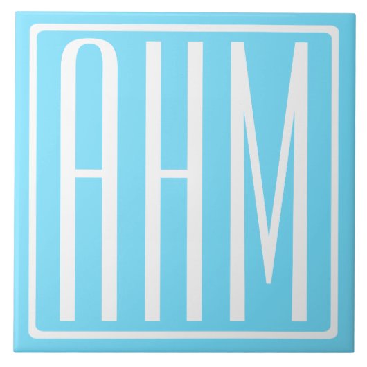 >テスト< タイル (正面)