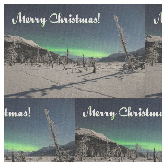 テスト ファブリック (クローズアップ)