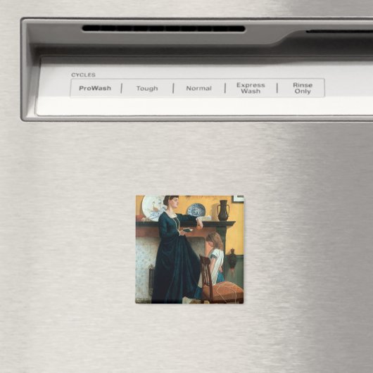 テスト マグネット (インサイチュ (食洗機))