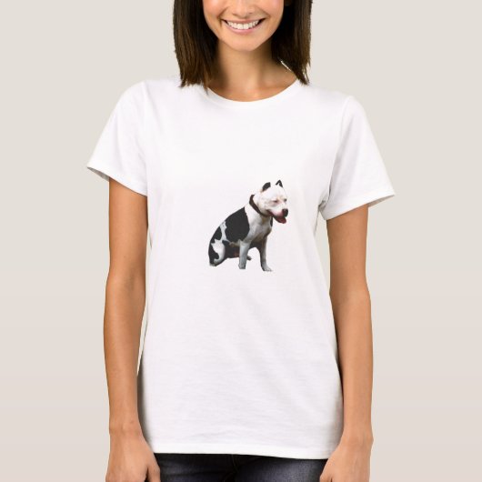 テスト Tシャツ (正面)