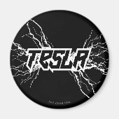 テスラ マグネット (正面)