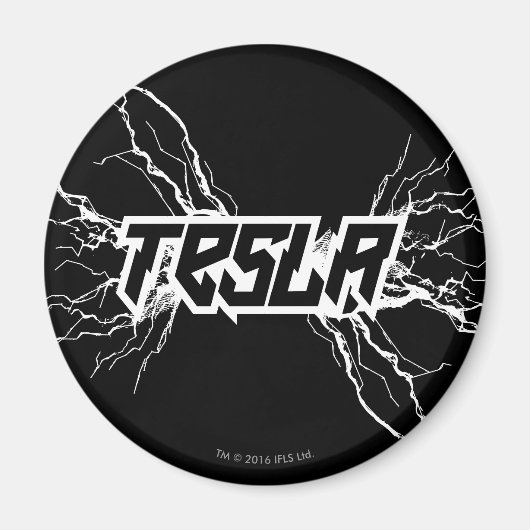 テスラ マグネット (正面)