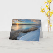 テスリン湖ゆくん降り注ぎ カード (黄色い花)