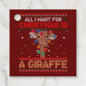 テス フェイバータグ (正面)