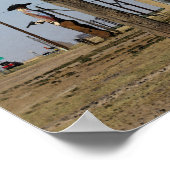 テックスとテキサス州標識 ポスター (角)