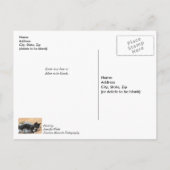 テックスードの子猫がクリスマスの飾りと一緒に早く回復してね ポストカード (裏面)