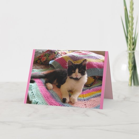 テックスード猫がかわいいフック編みの敷物で寝ている猫のカード カード (正面)