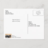 テックスード・キテン　ティンセルとライト　サンキュー・ポストカード ポストカード (裏面)