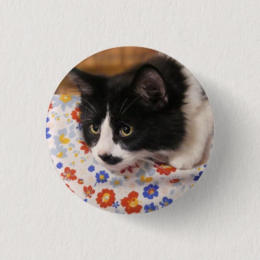 テックスード・キャット 缶バッジ (正面)
