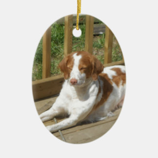 テッサ私の小さい子犬 セラミックオーナメント