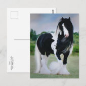 「テッサ」ポストカード ポストカード (正面/裏面)