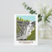 テッテコーシュ州パークミネソタヴィンテージ ポストカード (スタンド正面)