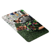 テッドとBF マグネット (右側)