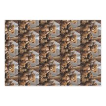 テッド。イースター・ベア