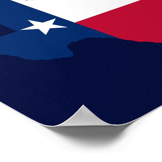 テッド・クルス・テキサス州民主党員に対するテキサス州 ポスター (角)