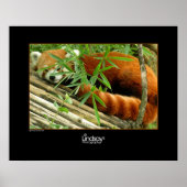 テッロ ポスター (正面)