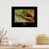 テッロ ポスター (キッチン)