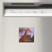 テツワナ語キリン，マグネット マグネット (インサイチュ (食洗機))