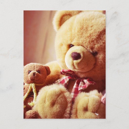テディはハガキを付ける ポストカード (正面)
