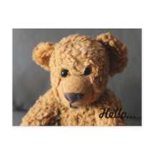 テディは挨拶をする