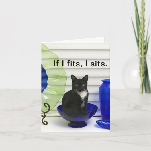 テディドキティー パーソナライズ グリーティングカード (正面)